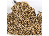 Tane Kişniş 500 GR